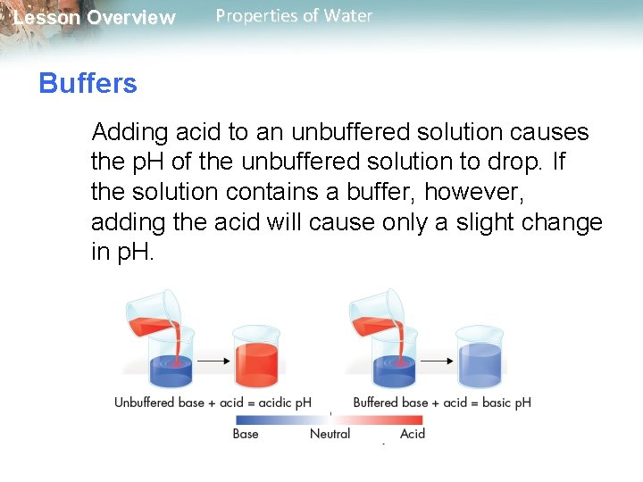 Lesson Overview Properties of Water Buffers Adding acid to an unbuffered solution causes the