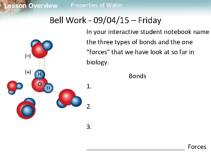 Lesson Overview Properties of Water Bell Work - 09/04/15 – Friday In your interactive