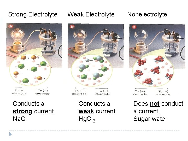 Strong Electrolyte Conducts a strong current. Na. Cl Weak Electrolyte Conducts a weak current.