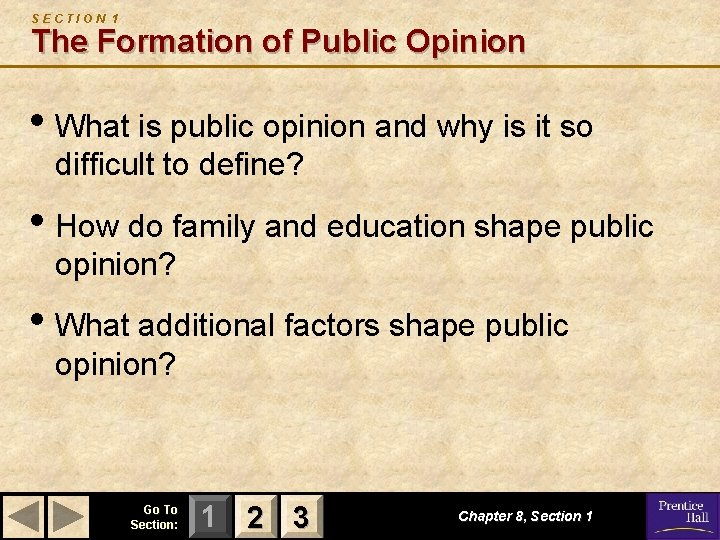 SECTION 1 The Formation of Public Opinion • What is public opinion and why