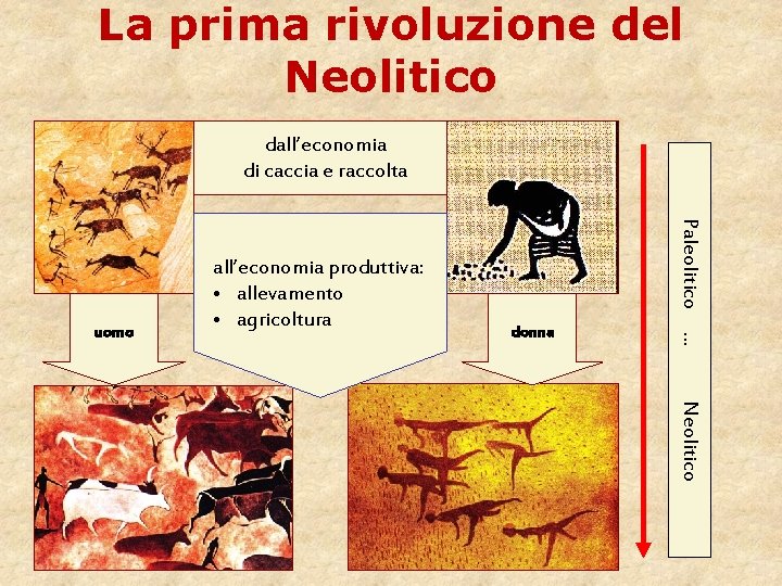 La prima rivoluzione del Neolitico dall’economia di caccia e raccolta Paleolitico donna . .