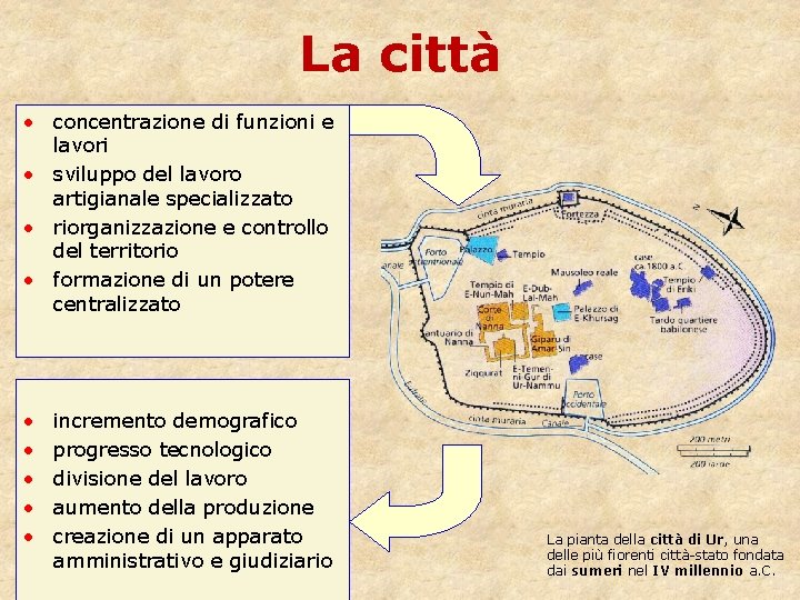 La città • concentrazione di funzioni e lavori • sviluppo del lavoro artigianale specializzato