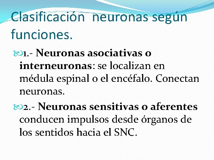 Clasificación neuronas según funciones. 1. - Neuronas asociativas o interneuronas: se localizan en médula