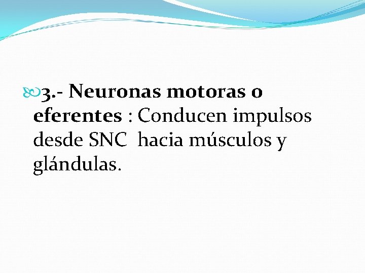  3. - Neuronas motoras o eferentes : Conducen impulsos desde SNC hacia músculos