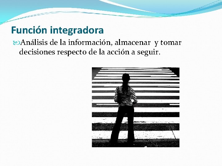 Función integradora Análisis de la información, almacenar y tomar decisiones respecto de la acción