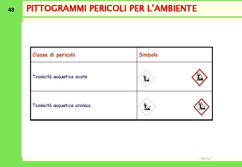 48 PITTOGRAMMI PERICOLI PER L’AMBIENTE 