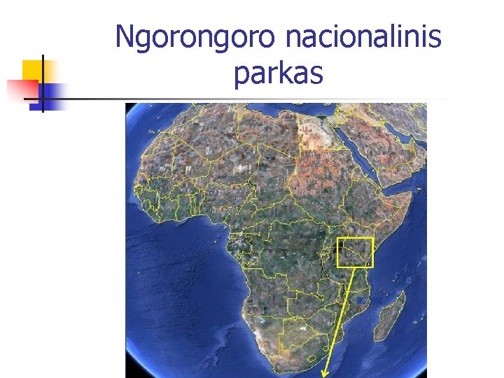 Ngorongoro nacionalinis parkas 