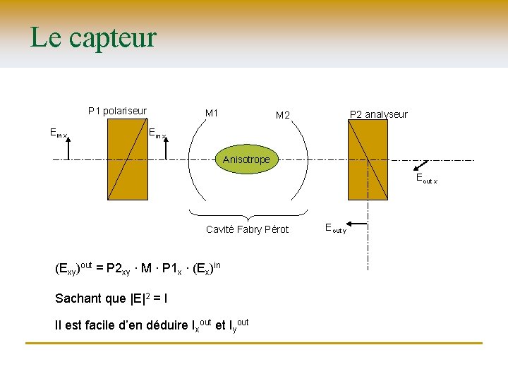 Le capteur P 1 polariseur Ein x M 1 P 2 analyseur M 2