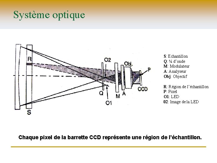 Système optique S: Echantillon Q: ¼ d’onde M: Modulateur A: Analyseur Obj: Objectif R: