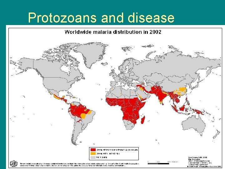 Protozoans and disease 