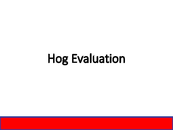 Hog Evaluation 