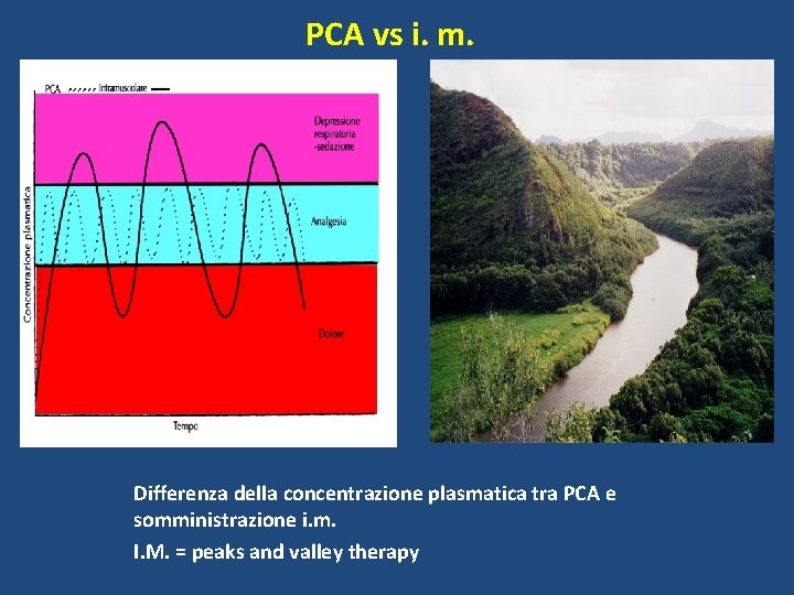 PCA vs i. m. Differenza della concentrazione plasmatica tra PCA e somministrazione i. m.