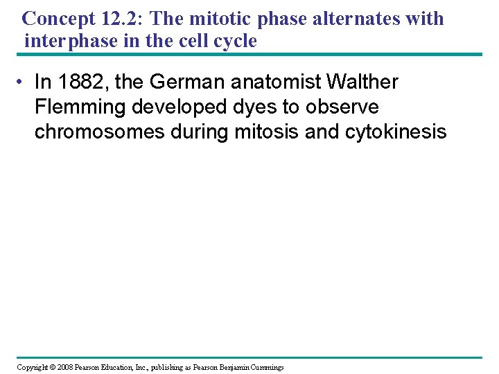 Concept 12. 2: The mitotic phase alternates with interphase in the cell cycle •