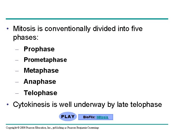  • Mitosis is conventionally divided into five phases: – Prophase – Prometaphase –