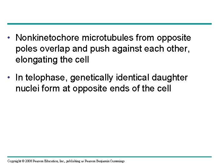  • Nonkinetochore microtubules from opposite poles overlap and push against each other, elongating