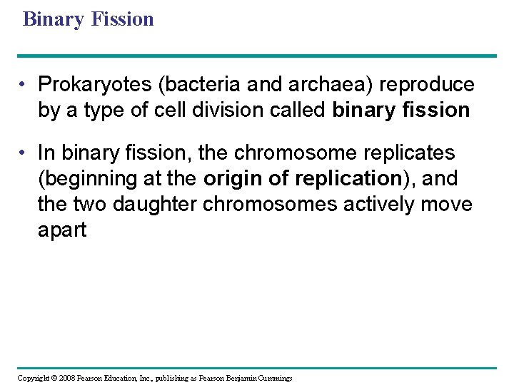 Binary Fission • Prokaryotes (bacteria and archaea) reproduce by a type of cell division