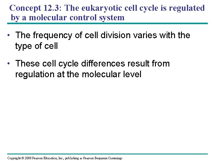 Concept 12. 3: The eukaryotic cell cycle is regulated by a molecular control system