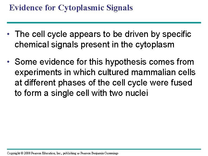 Evidence for Cytoplasmic Signals • The cell cycle appears to be driven by specific