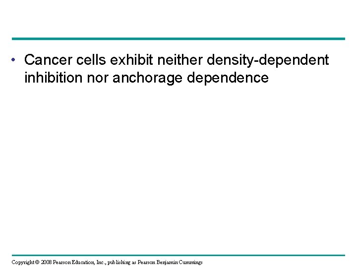  • Cancer cells exhibit neither density-dependent inhibition nor anchorage dependence Copyright © 2008