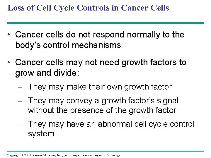 Loss of Cell Cycle Controls in Cancer Cells • Cancer cells do not respond