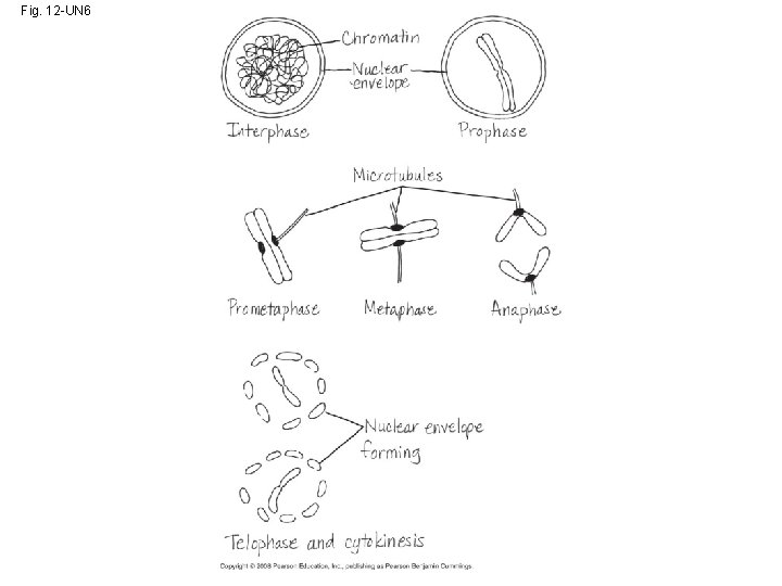 Fig. 12 -UN 6 