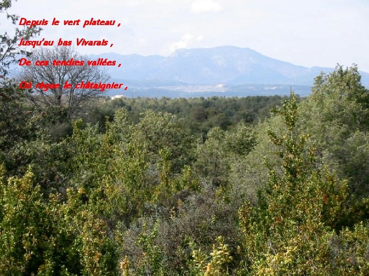 Depuis le vert plateau , Jusqu’au bas Vivarais , De ces tendres vallées ,