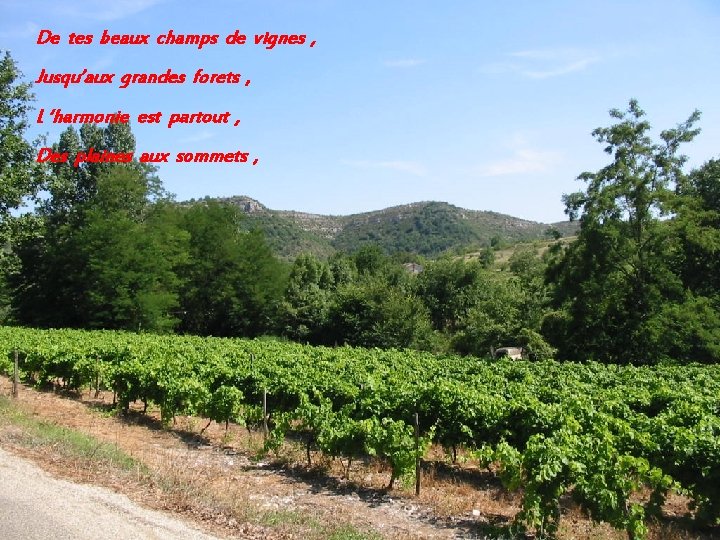 De tes beaux champs de vignes , Jusqu’aux grandes forets , L ‘harmonie est