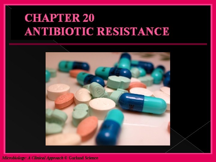 CHAPTER 20 ANTIBIOTIC RESISTANCE Microbiology: A Clinical Approach © Garland Science 