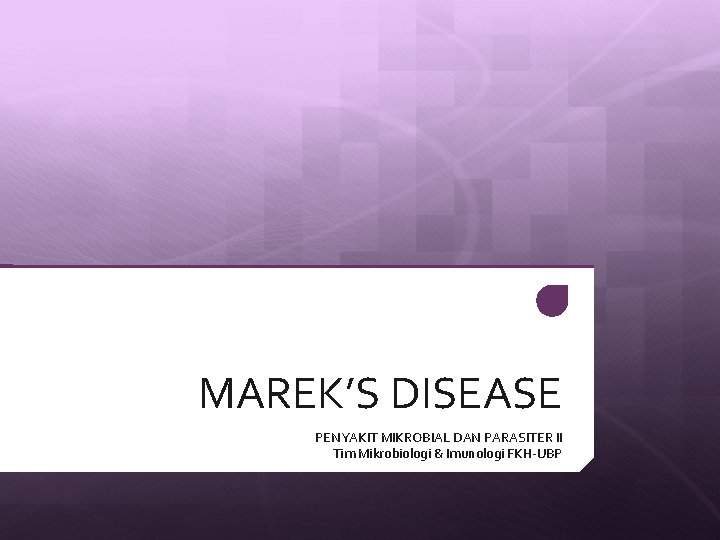 MAREK’S DISEASE PENYAKIT MIKROBIAL DAN PARASITER II Tim Mikrobiologi & Imunologi FKH-UBP 