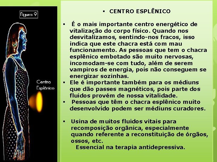 § CENTRO ESPLÊNICO É o mais importante centro energético de vitalização do corpo físico.