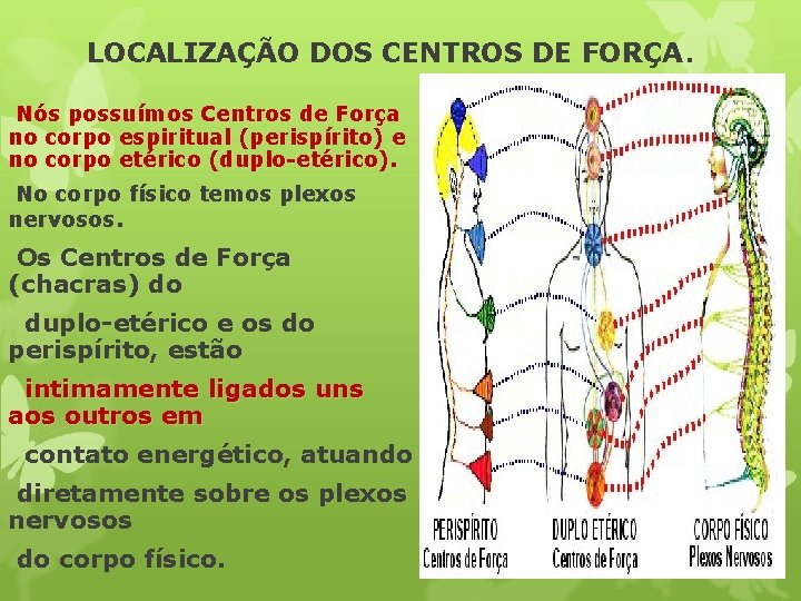 LOCALIZAÇÃO DOS CENTROS DE FORÇA. Nós possuímos Centros de Força no corpo espiritual (perispírito)