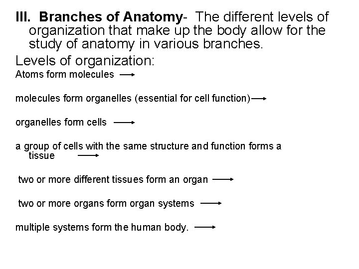 III. Branches of Anatomy- The different levels of organization that make up the body