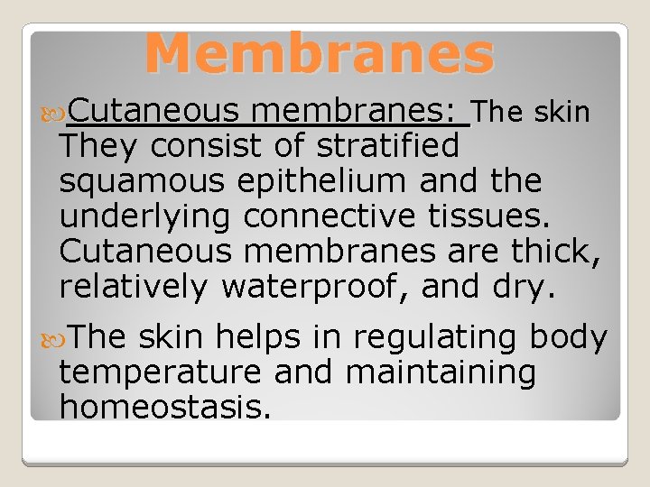 Membranes Cutaneous membranes: The skin They consist of stratified squamous epithelium and the underlying