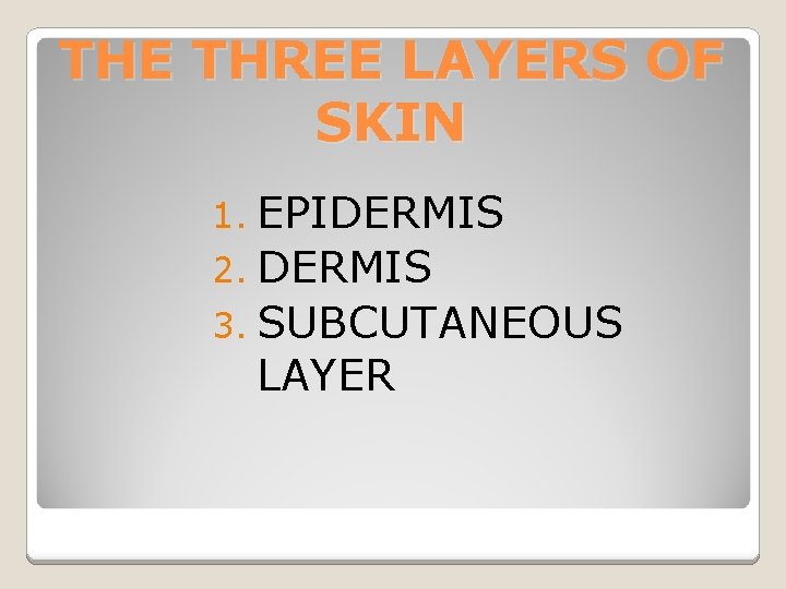 THE THREE LAYERS OF SKIN 1. EPIDERMIS 2. DERMIS 3. SUBCUTANEOUS LAYER 