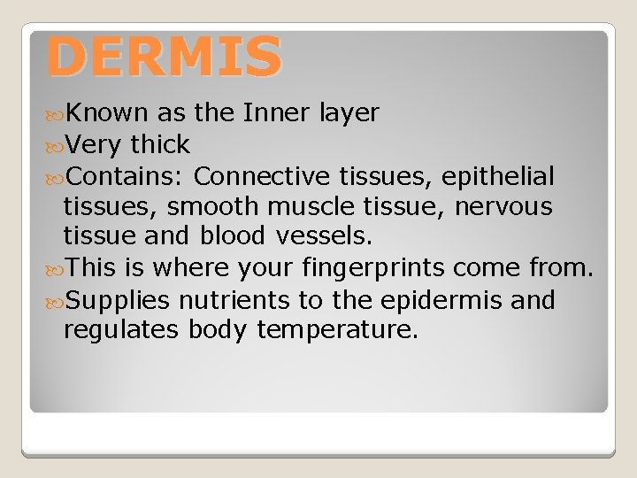 DERMIS Known as the Inner layer Very thick Contains: Connective tissues, epithelial tissues, smooth