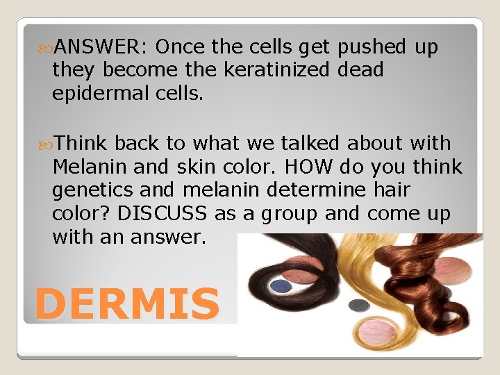  ANSWER: Once the cells get pushed up they become the keratinized dead epidermal
