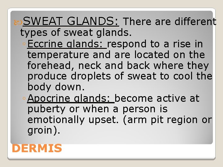  SWEAT GLANDS: There are different types of sweat glands. ◦ Eccrine glands: respond