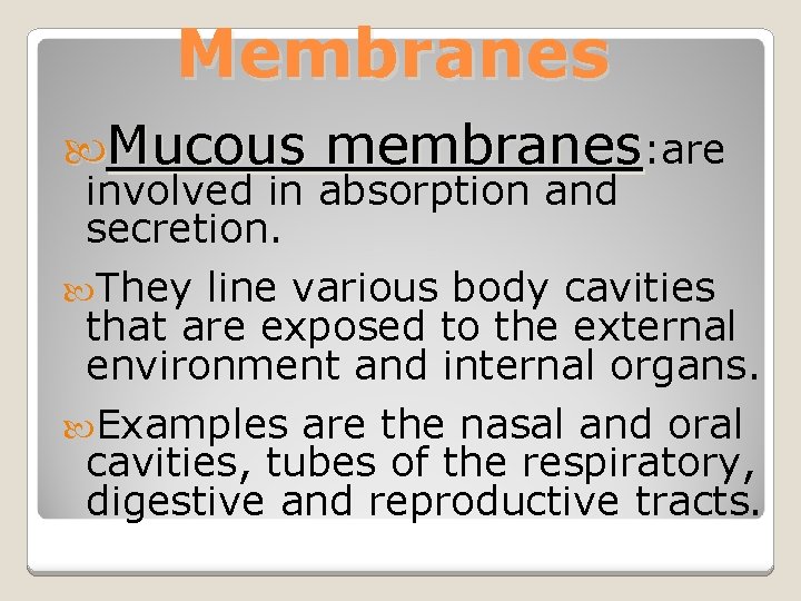 Membranes Mucous membranes: are involved in absorption and secretion. They line various body cavities