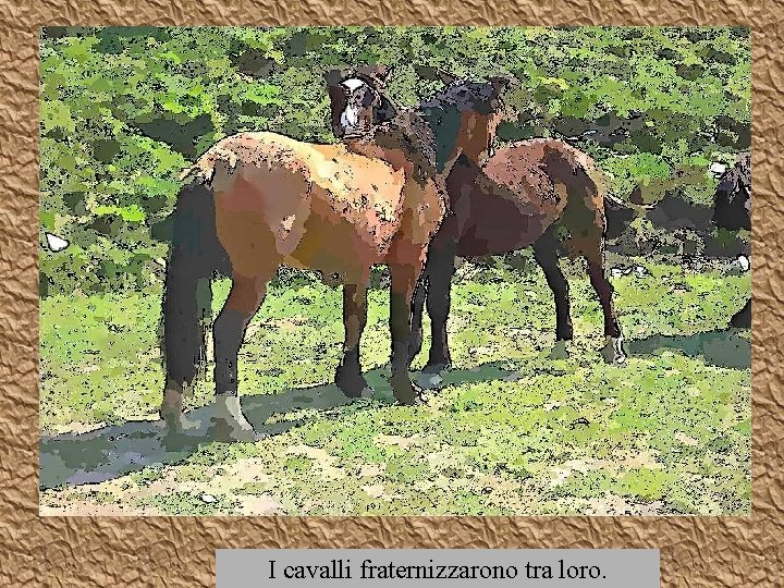 I cavalli fraternizzarono tra loro. I cavalli fraternizzarono tra loro.