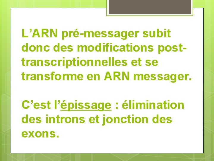 L’ARN pré-messager subit donc des modifications posttranscriptionnelles et se transforme en ARN messager. C’est