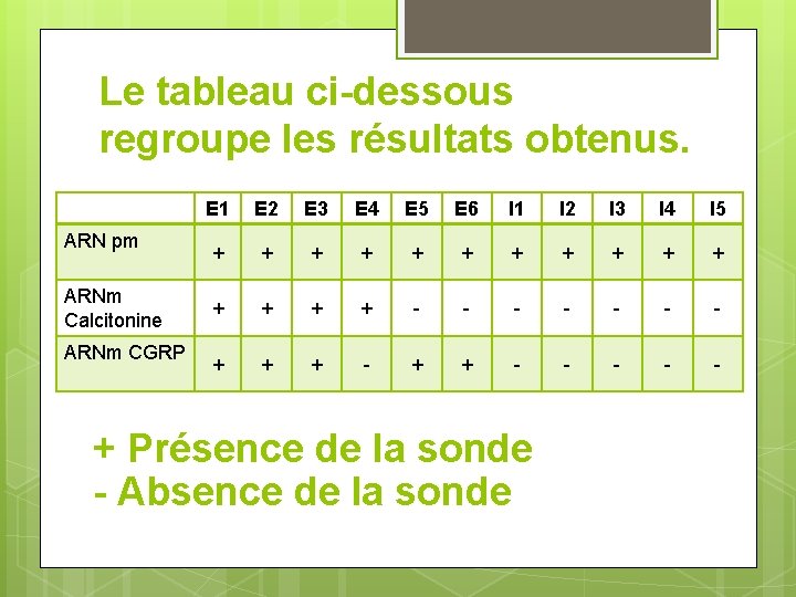 Le tableau ci-dessous regroupe les résultats obtenus. ARN pm ARNm Calcitonine ARNm CGRP E