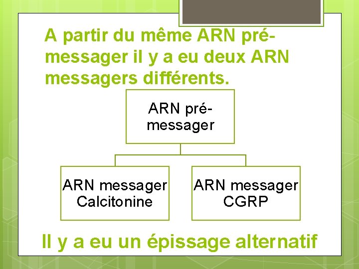 A partir du même ARN prémessager il y a eu deux ARN messagers différents.