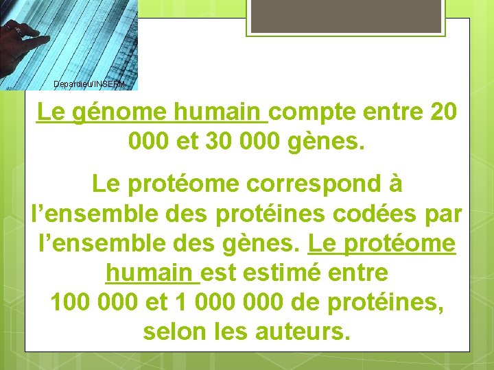 Depardieu/INSERM Le génome humain compte entre 20 000 et 30 000 gènes. Le protéome