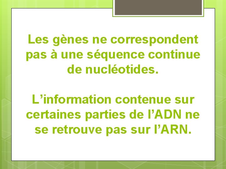 Les gènes ne correspondent pas à une séquence continue de nucléotides. L’information contenue sur