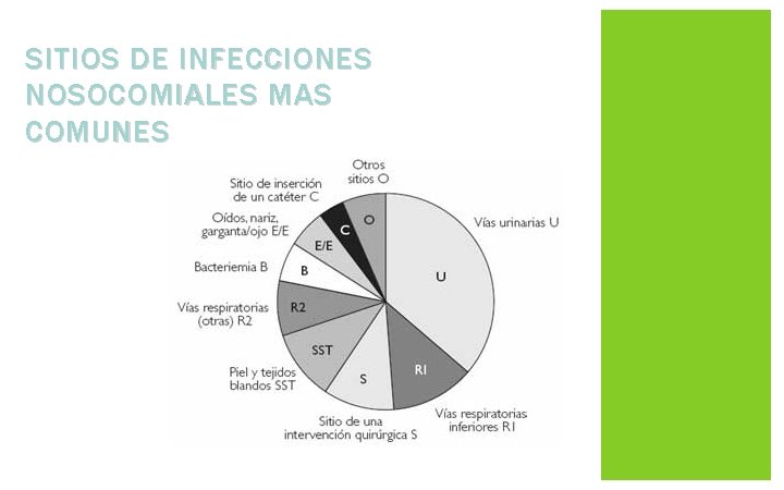 SITIOS DE INFECCIONES NOSOCOMIALES MAS COMUNES SITIOS DE INFECCIONES NOSOCOMIALES MAS COMUNES