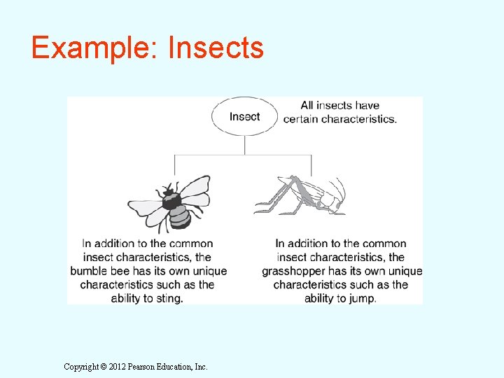 Example: Insects Copyright © 2012 Pearson Education, Inc. Example: Insects Copyright © 2012 Pearson Education, Inc.