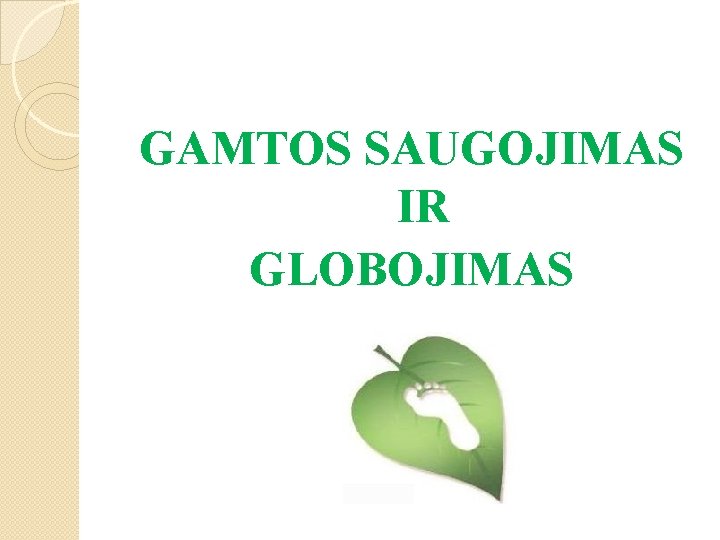 GAMTOS SAUGOJIMAS IR GLOBOJIMAS 