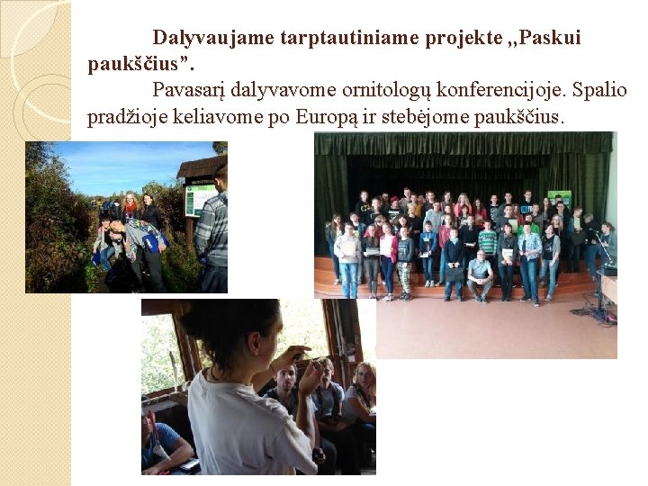 Dalyvaujame tarptautiniame projekte , , Paskui paukščius”. Pavasarį dalyvavome ornitologų konferencijoje. Spalio pradžioje keliavome