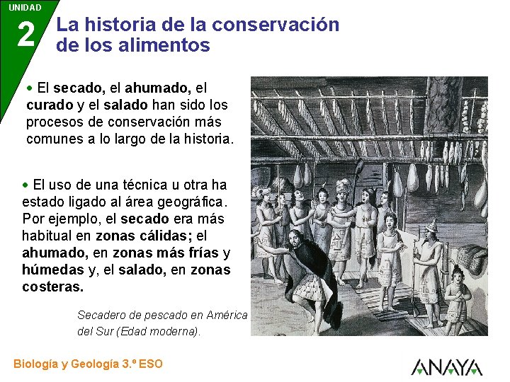 UNIDAD 2 3 La historia de la conservación de los alimentos El secado, el