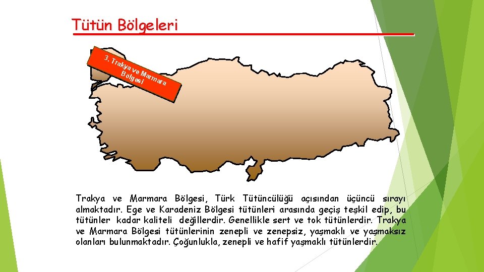 Tütün Bölgeleri 3. T rak ya v Bö e Ma lge r si mara
